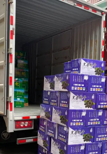 Open cargo container with stacked mulberry cartons and other dried fruit cartons being loaded